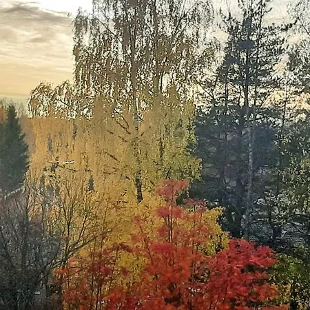 Family Flat On Freedom Street *